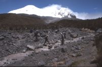 &Uuml;ber&acute;n Bach