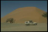In den Dnen der Namib