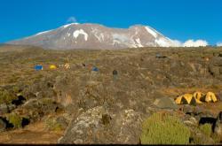 Blick zum Gipfel des Kili vom Shira Camp auf 3800m