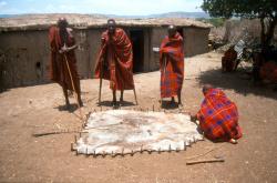 Die Masai Krieger