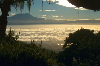 Abendlicher Blick zum Kilimanjaro vom Mt. Meru