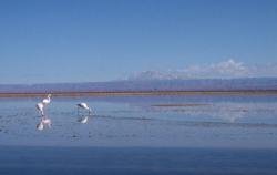 Atacama